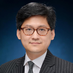 Wesley Wong (Solicitor General at The Department of Justice, Hong Kong Special Administrative Region)