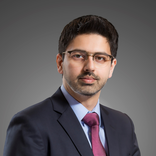 Mustafa Hadi (Managing Director of Berkeley Research Group (BRG))