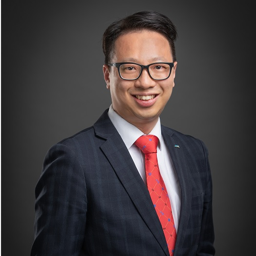 David Luk (Committee Member and Co-Chairman of Commercial Mediation Interest Group, HKMC)