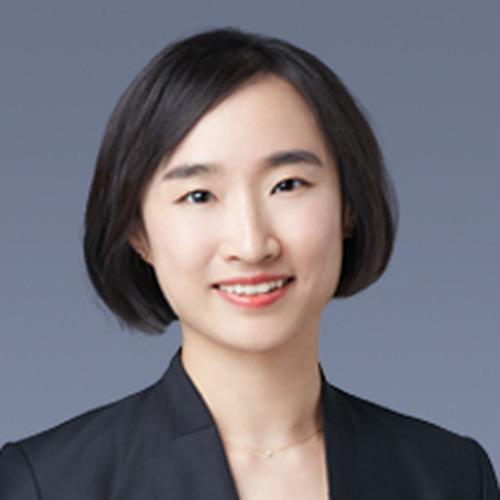 Jingjing Chen (Partner at Haiwen & Partners)