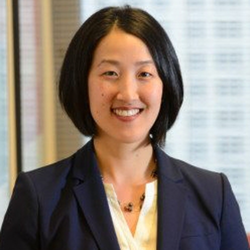 Audrey J. Lee (Lecturer on Law at Harvard Law School)